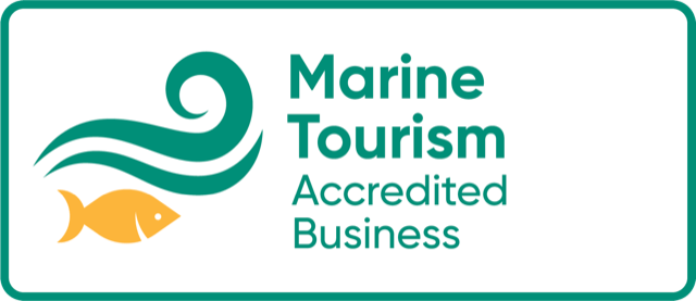 Marine Tourism Accredited Business logo with a wave and fish graphic.